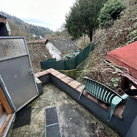Haus Fuer Monteure & Arbeiter/heppenheim Hang Lägenhet *